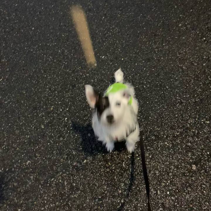 9feadf3a da68 469d a43e 01f141553e16 1657879972897