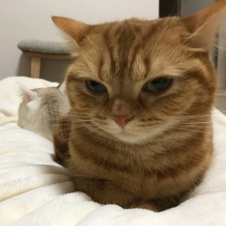 9feb4567 b285 4ed3 a70c 56e5fb343576 1524179817906