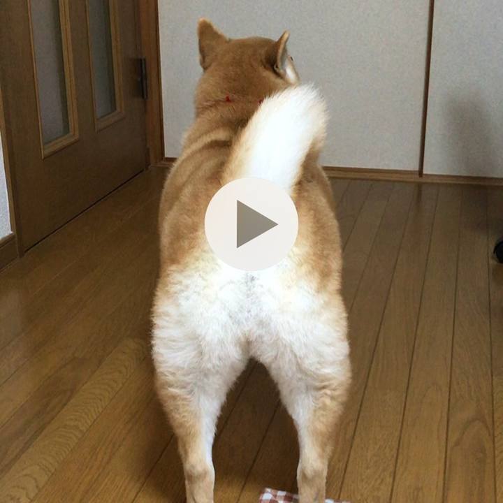 9feb5c37 ce2d 4cbb b22c cbc4334218cb 1524113743543