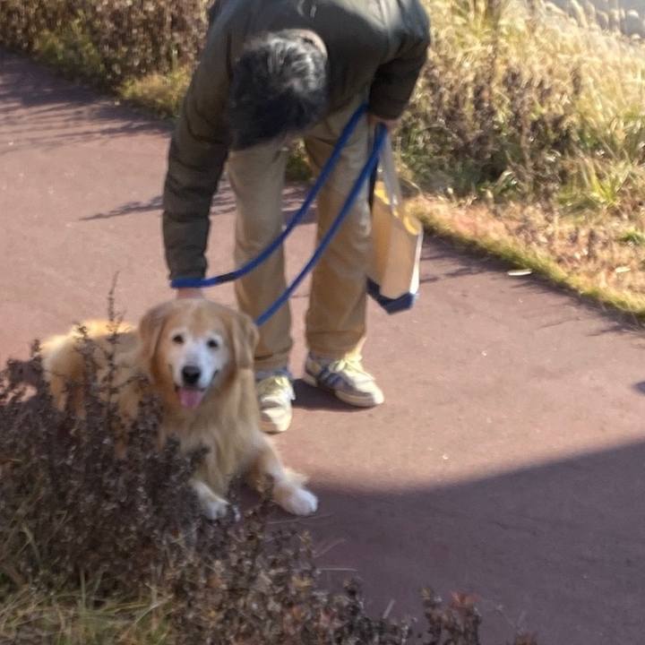 9feb8ca3 f377 459b 825e a961e404ed71 1577872975435