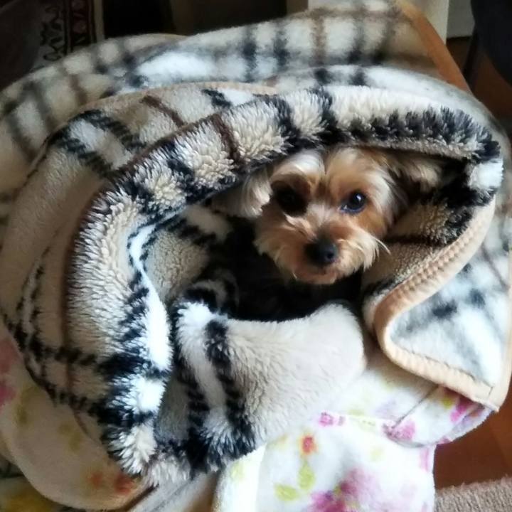 9feb9a68 f32e 43e1 b4c8 7861d50bbfee 1614246793796