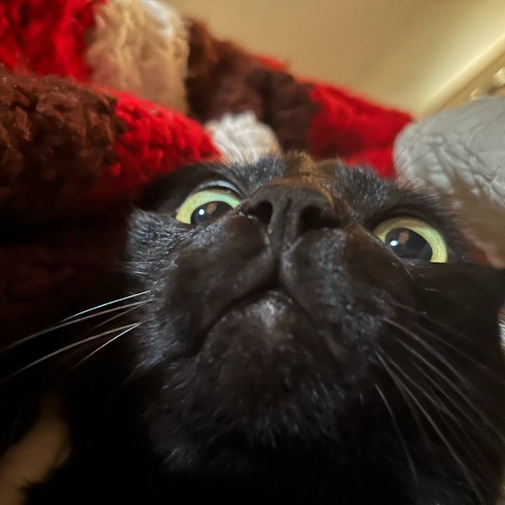 9febb0d8 5f5a 4b4d 8675 1d6dbb4df9be 1743809772762