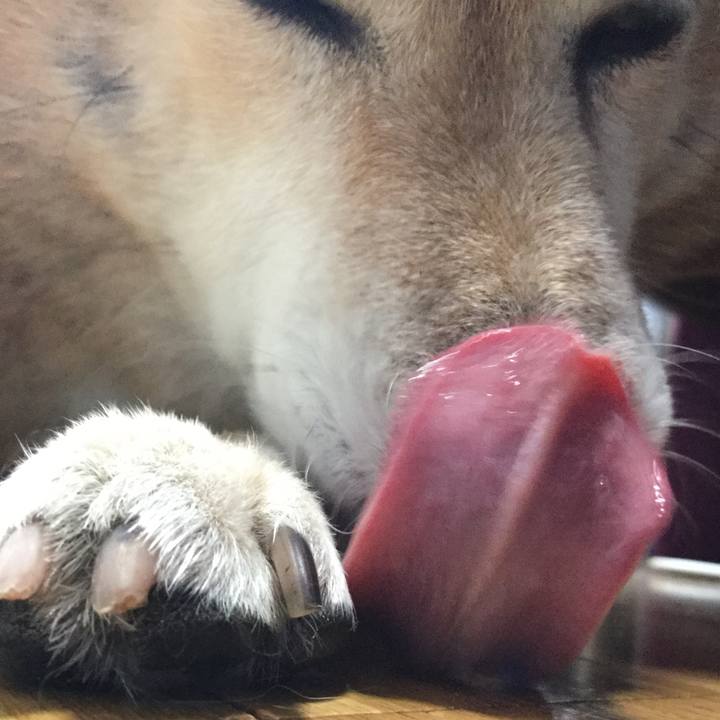 9febd479 d6a2 42ff 8eed b2edee15af92 1627184064563