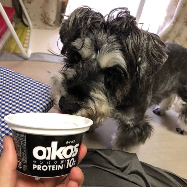 9febd58b d9ed 488a 9ef0 b7ac98140c4e 1632530109155