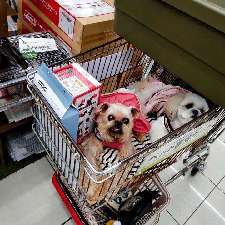 9febee38 00ee 4e50 9453 3c1f49e91eed 1681782780413