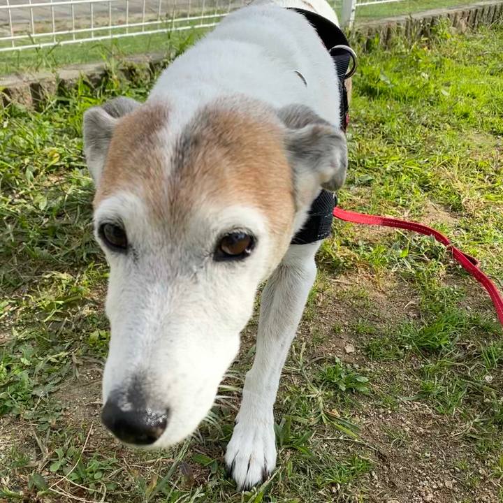 9febf4ee 0a95 455a 89d9 565f9376d407 1604188338298