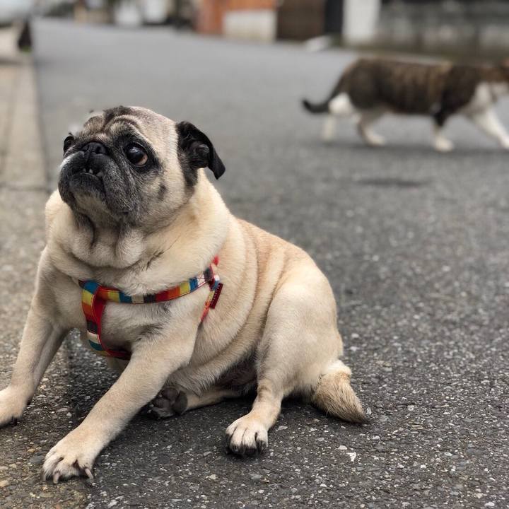 9fec1845 1c66 4fe2 9985 2542ee05e462 1523880687109