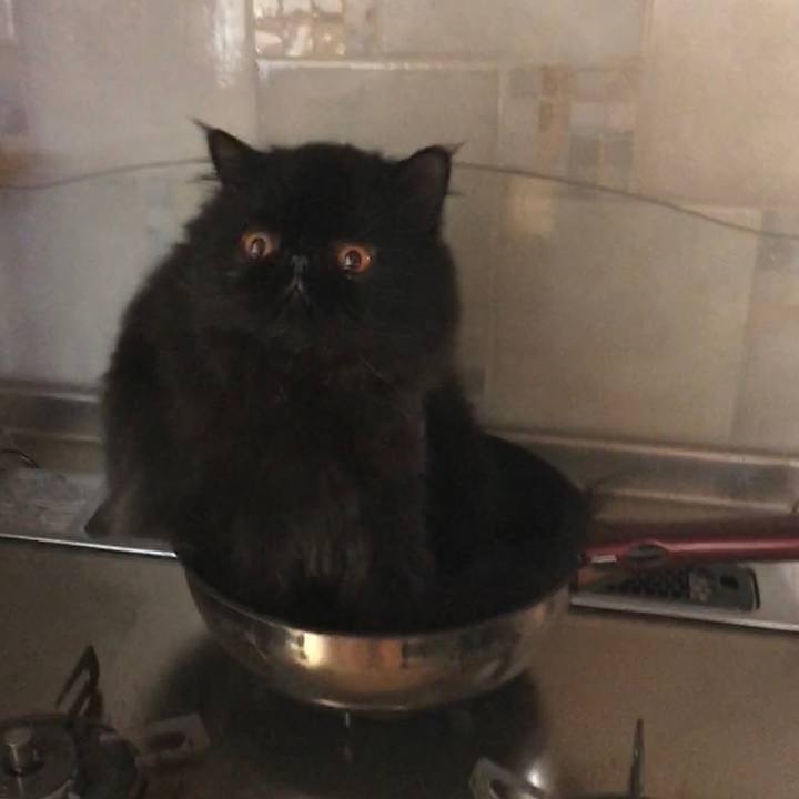 9fec579d 0124 4bbb adc6 8d18ac32a09a 1537283235382