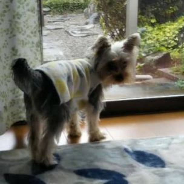 9fec6f24 9e84 46bf 983f 9980e1bc2edb 1548502200657