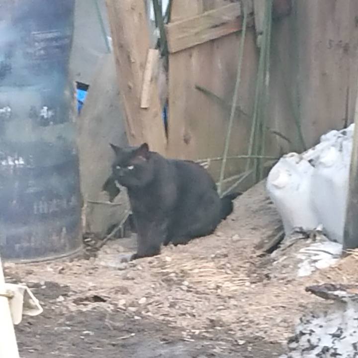 9fec989e 69d0 43b5 a807 6109a5188fae 1649236623569