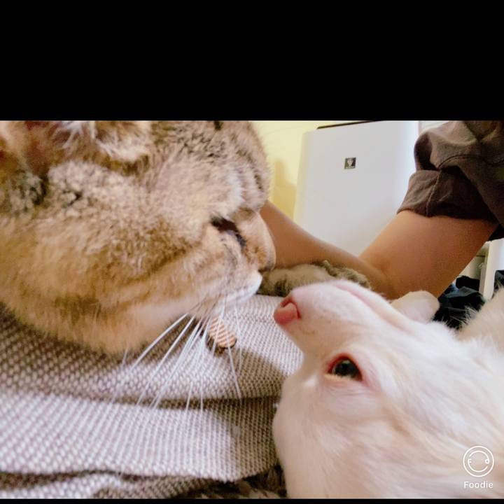 9fecaee5 fadc 4fa6 a456 947062b4c105 1697622887450