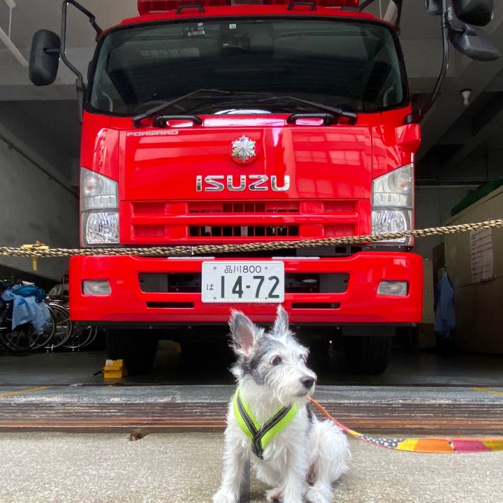 9fed0c2a 2eaf 49ce 99ce a30bfd2cf358 1599399487469