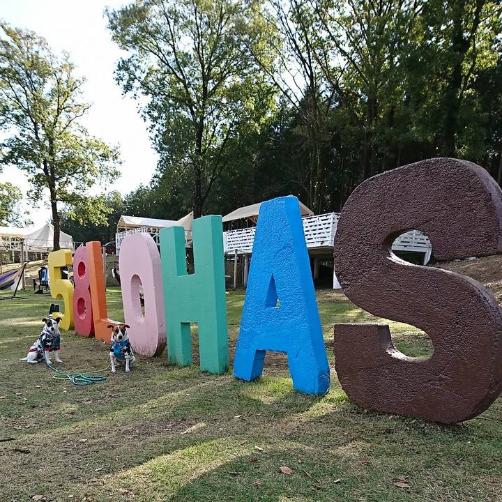 9fed17f8 f729 486d 84de fb85ef0eac17 1572831722271