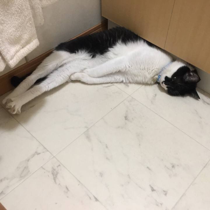 9fed19a4 7d9a 4671 b6a7 a9f8db7e63c8 1531745886744