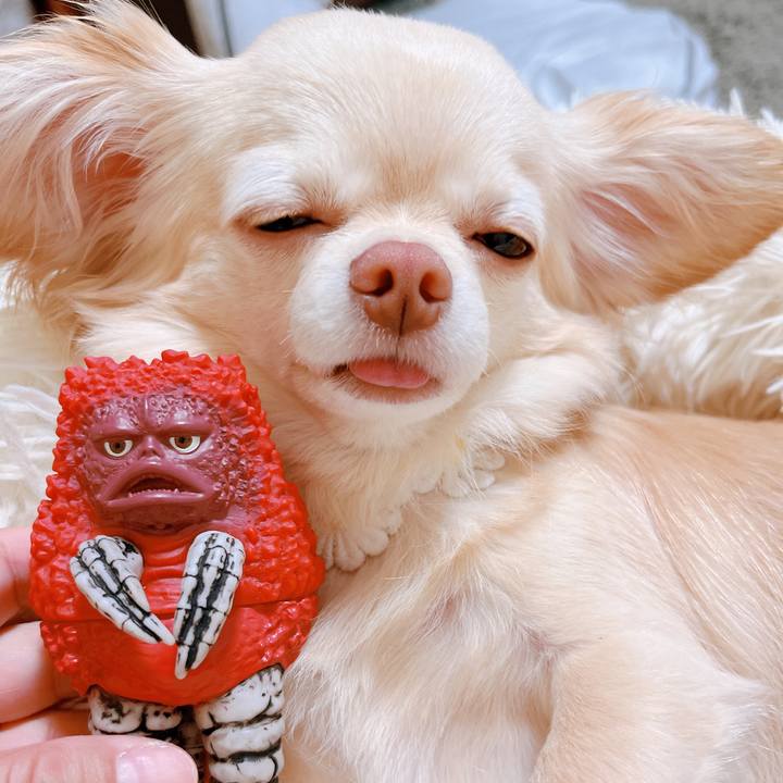 9fed1cca 9ac5 4527 9abc 15faea5382fe 1655610544936