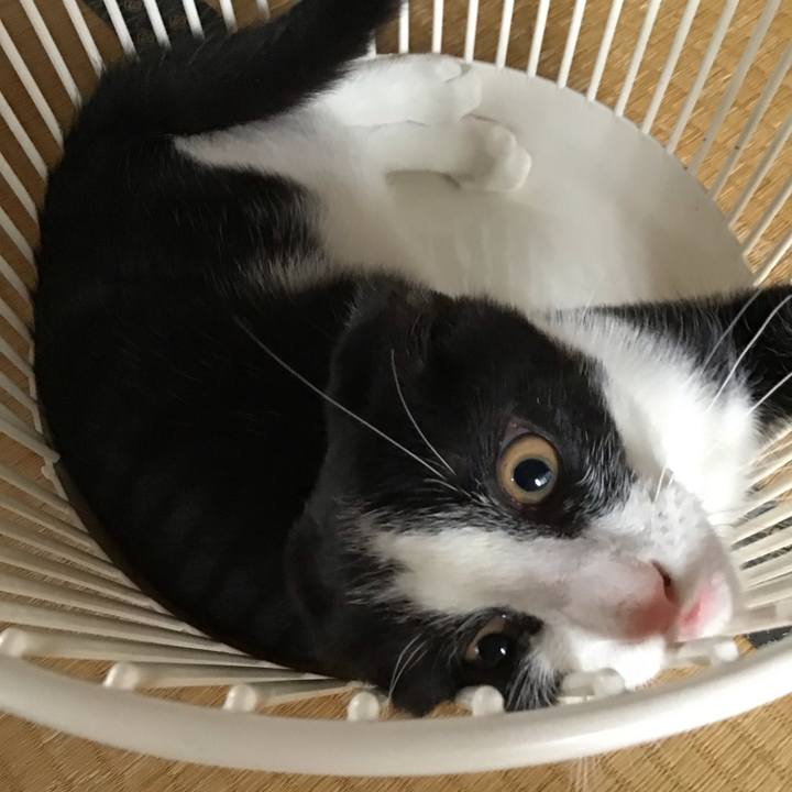 9fed29db 4527 47b2 b8ff b8ba5cbcf401 1628325689312