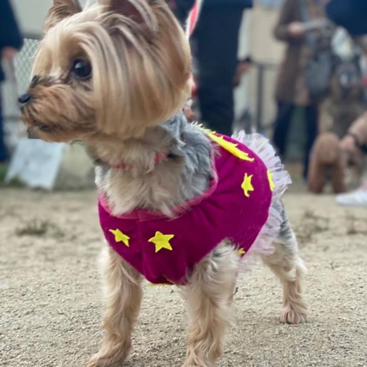 9fed53b4 beef 4a36 b434 fae49e020540 1667258682373