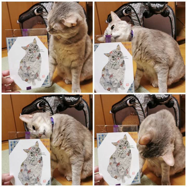 9fed62c0 0549 4c2e 8960 501612b2658f 1648046759016