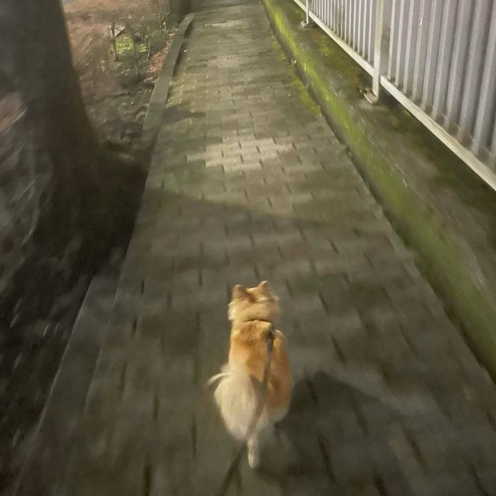 9fed8c0f e388 4e85 9f2a a2b33ac3a7d7 1774093059519