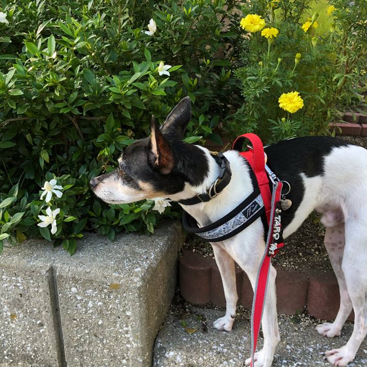 9fed9d3a 820f 4254 947c 37469e6d4123 1538997037561