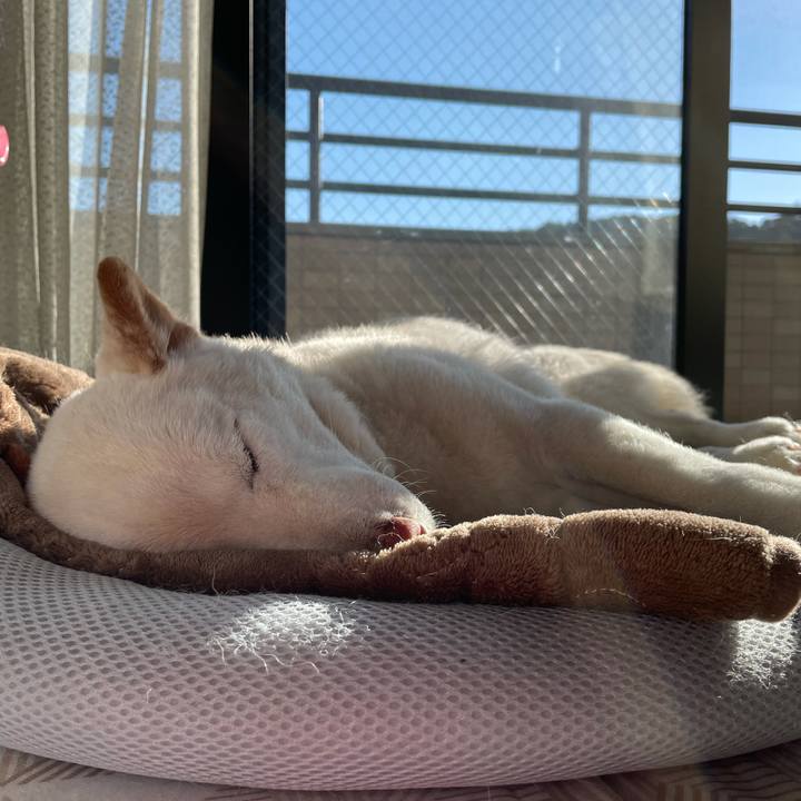 9fedc9e0 6248 4832 afac 2f968a90a284 1638599642406