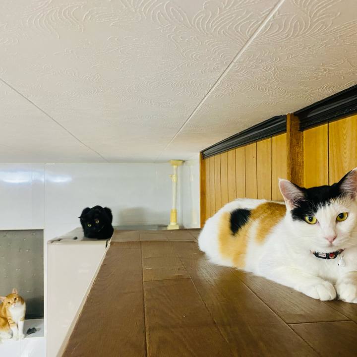 9fedcbf3 ea52 4cd9 9e9f a1b3a9eea04e 1659966679145