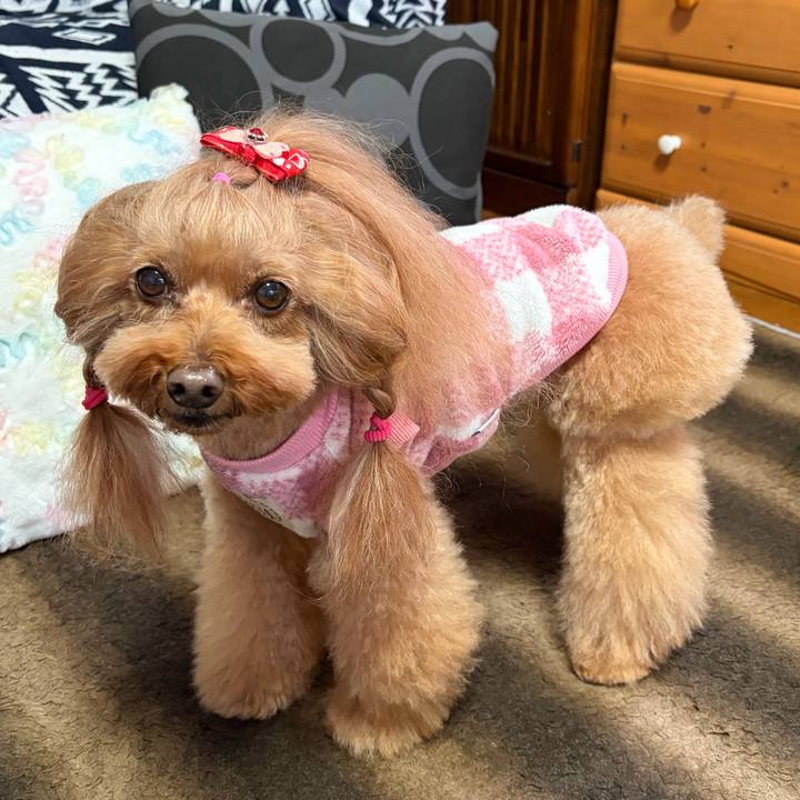 9fedd3f6 a843 4314 8cfd aa42e2f75353 1764822104178