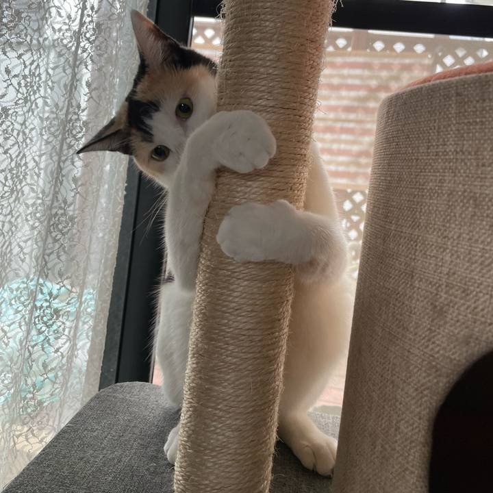 9feddb12 0ed8 4fb0 93c9 ebc17ecb38f6 1689894391371