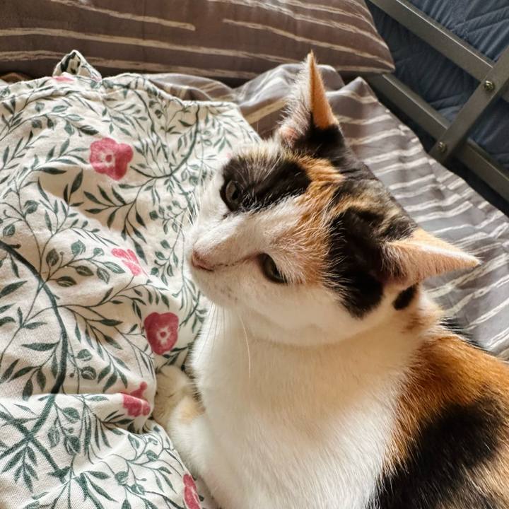 9fedfe13 cc7f 41d5 9515 bf9035cb8e9f 1725760759603