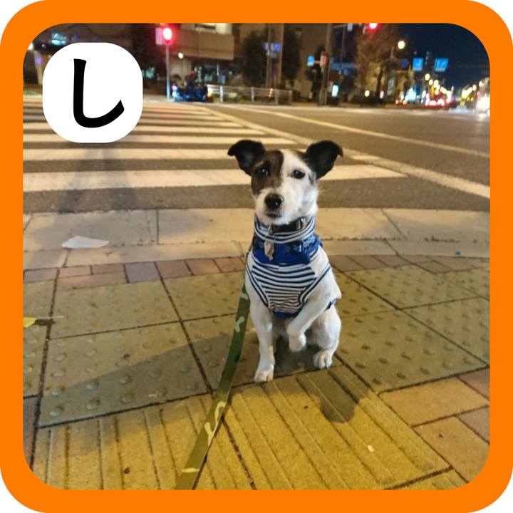 9fee2ec2 fa78 4de6 8172 50c6efdeddf0 1514770023791