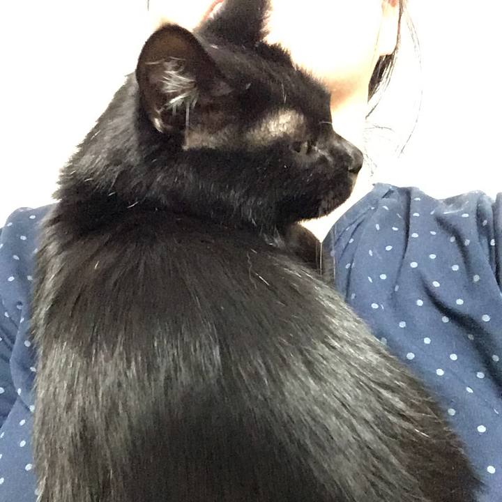 9fee3587 0e49 43d9 bf95 4418f9cbd13a 1541498124230