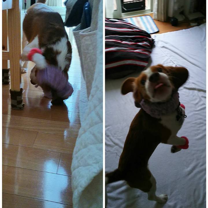 9fee3a1e 7891 4375 a73e 2b78cbd141fd 1535783974018