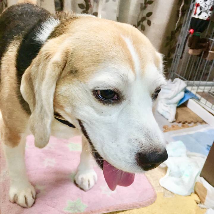 9fee3e5d 563a 47ee b51e 9fea83ff9cdd 1563076149709