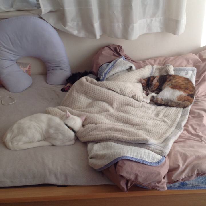 9fee42ac f734 400b 821b 5625181b1723 1643877125842