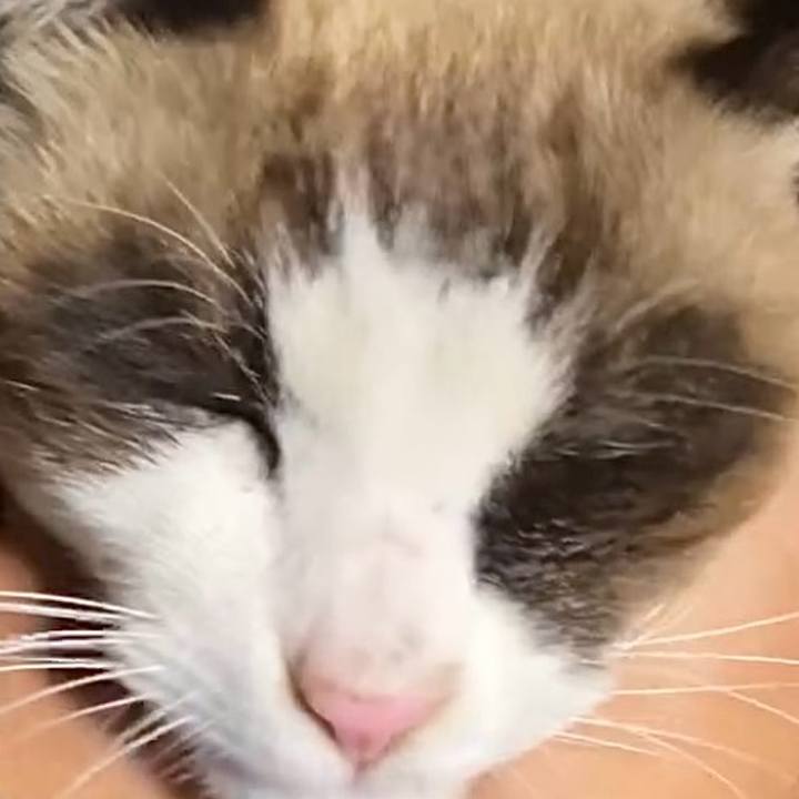 9fee6d03 6106 47bc 88a6 a1cd7d405d63 1736304294308