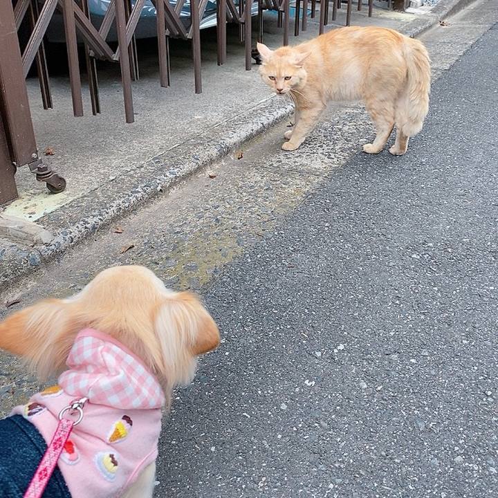 9fee6fd7 72e6 4357 b0ac 9bee47ed3e87 1622205039900