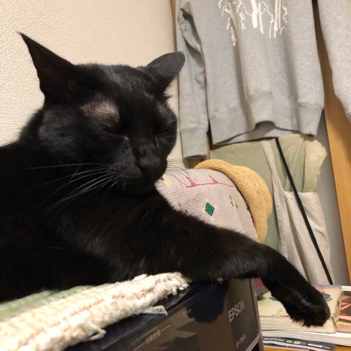 9feed19c 797c 4bff 9e69 5064fe005f68 1544534150145