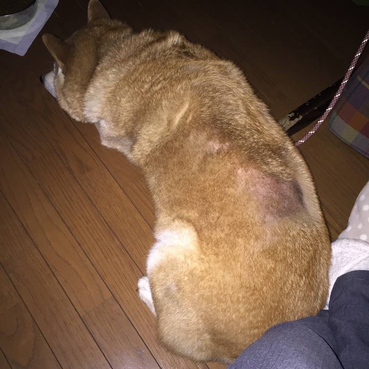 9feed38c 7662 4481 8146 4fc6eaed34cc 1516349704177