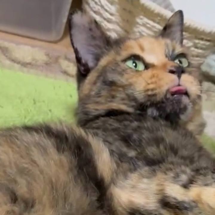 9fef1407 f777 4f9c a491 fac8068819fb 1752572225174