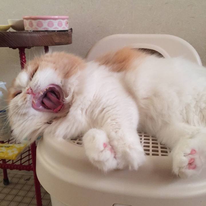 9fef1822 b877 4cb3 b533 8a8586ee1d90 1568152051904