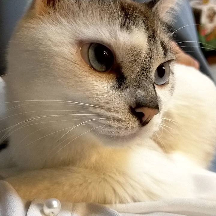 9fef51b6 d48c 49a3 9589 119defc99d4e 1601617355957