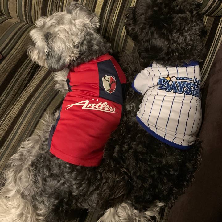 9fef7d3d bcb2 41e9 aff6 3ed0c0e4d084 1653469817968