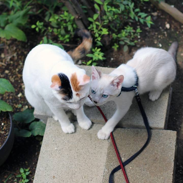 9fefbe56 6727 4858 9249 993a1cdbded1 1600988523965