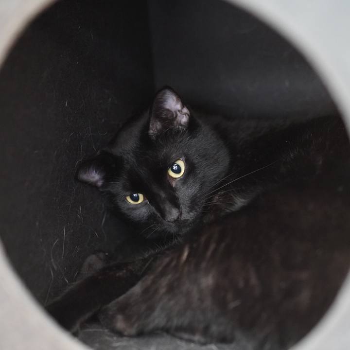 9fefdd03 3295 4782 9639 fd01e6ff77d2 1569456031870