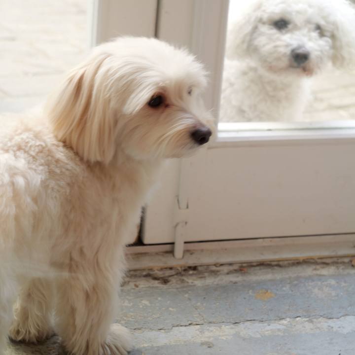 9fefee63 3fad 4a35 b5ec 3e2523d870e0 1769287303130