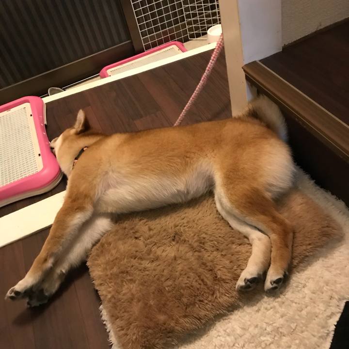 9feff40c a208 44ab 8852 15d5cab1b1e1 1522335205789