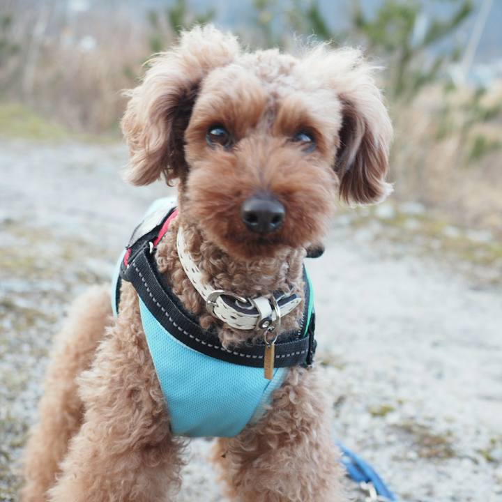 9feff439 4fb2 4260 8f49 109be247ea55 1519946758289