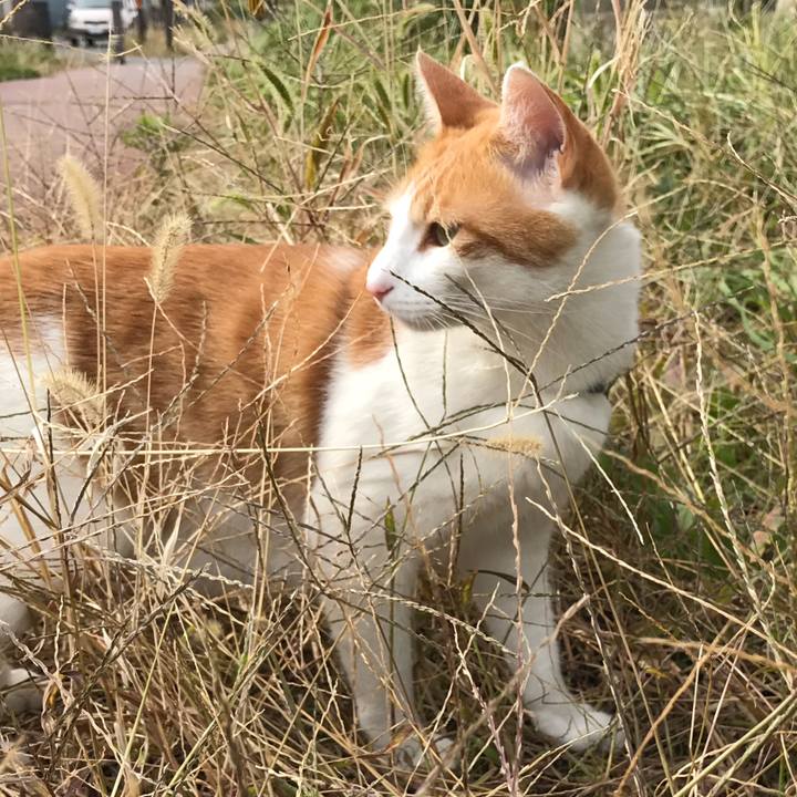 9ff06f14 2b1f 4e0b 80a9 5267447c3007 1509588928200