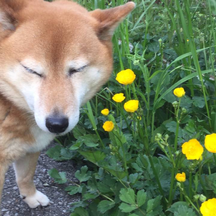 9ff08058 6868 427a 9425 335d46a0ccca 1556009558701