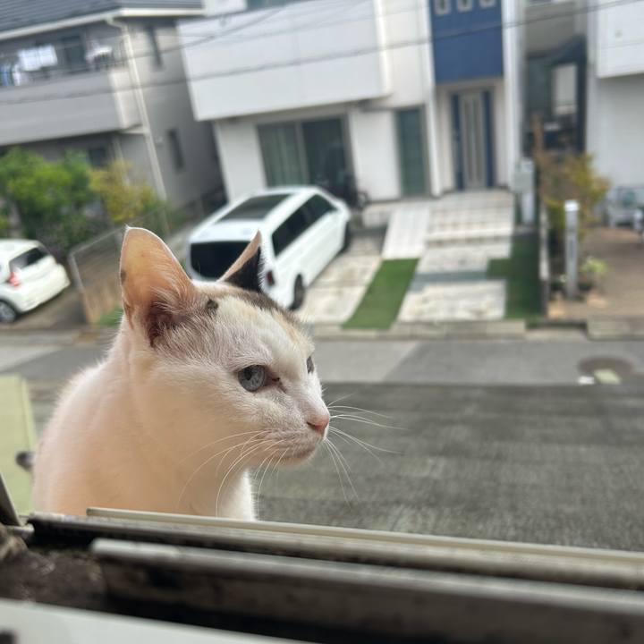 9ff08981 b16a 48d6 adf1 d20274a04461 1760435879083